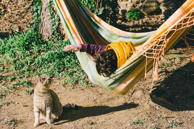 hammock