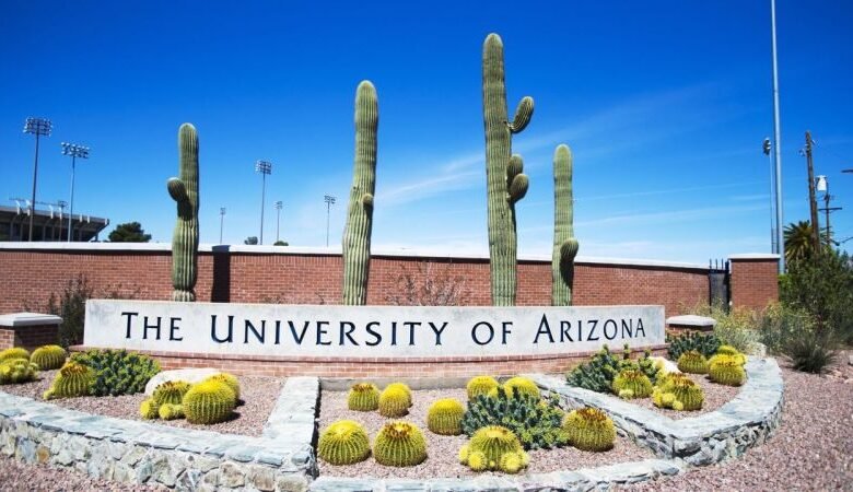 Who Is Kelly South? A Look Into Her Role at the University of Arizona