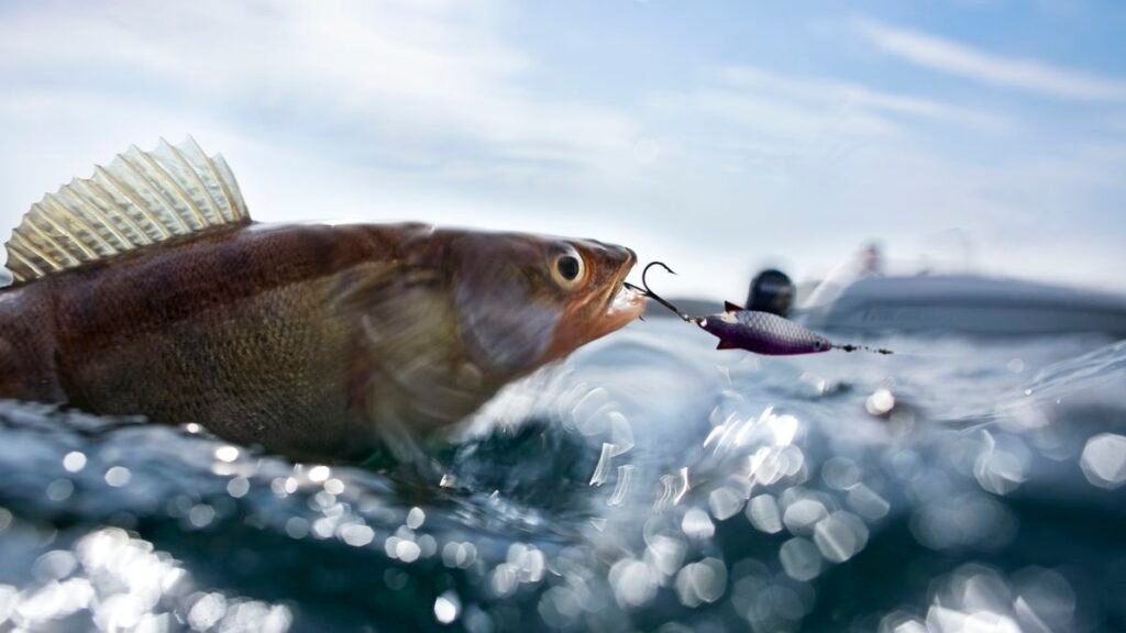 Top Tips for Choosing Fresh Live Bait Near Me for Your Fishing Trip