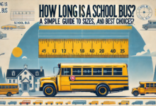 How Long is a School Bus