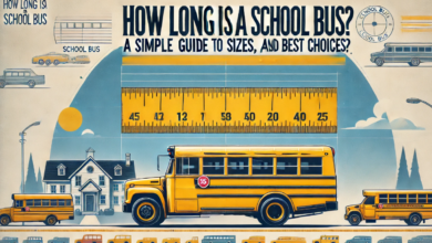 How Long is a School Bus